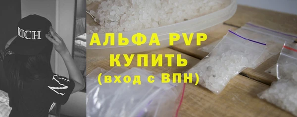 шишки Надым