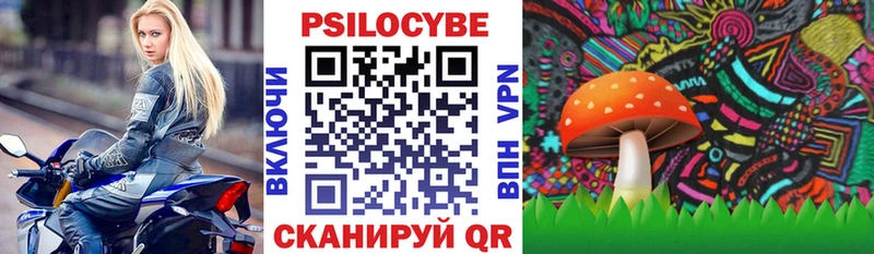 наркота  Новохопёрск  Галлюциногенные грибы Psilocybine cubensis 